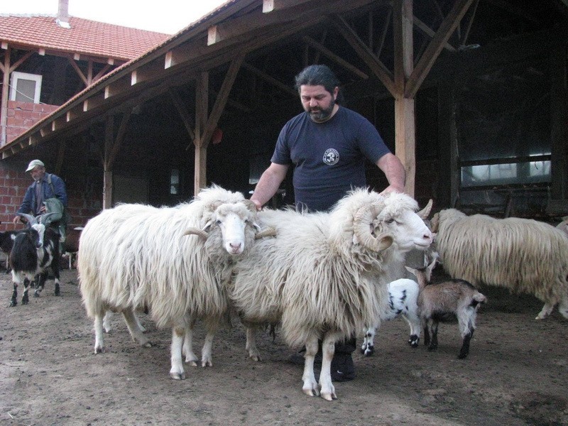 Bardoka