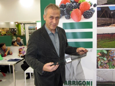 Mile Radisavljević