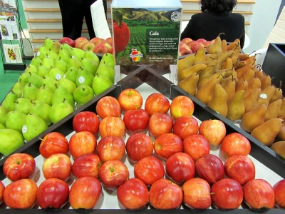 Fruit logistica 2017.