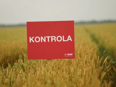 BASF Srbija Dan polja u Pančevu