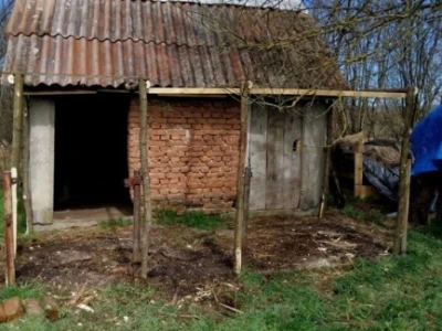 Agrikultura Orlović