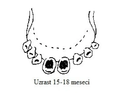 Uzrast 15-18 meseci (izrasli štipci)