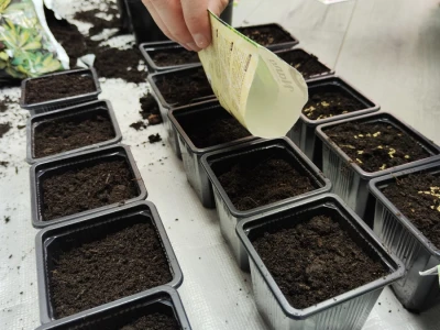#AKProzorskaDaska