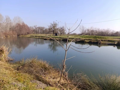 Jezero u Vognju