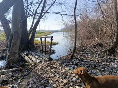 Jezero u Vognju