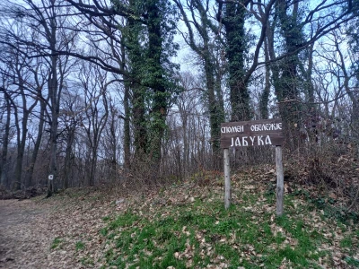 Beli Kamen