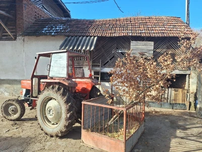 Badnji dan