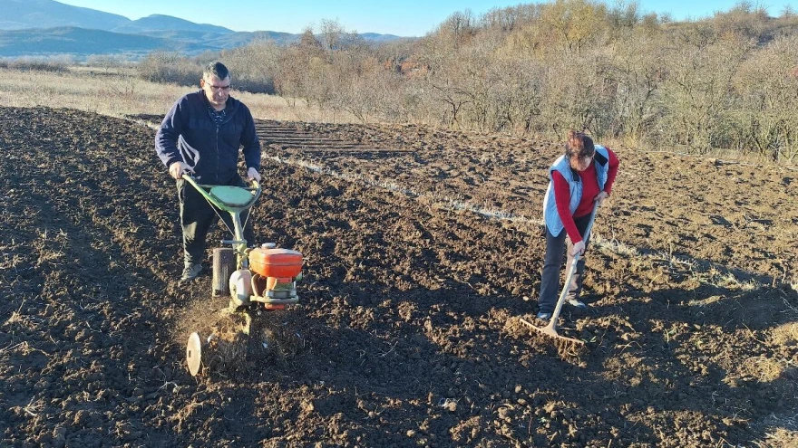 Kada suprug zavr&scaron;i pripremi zemlji&scaron;te, počinje sadnja crnog luka 