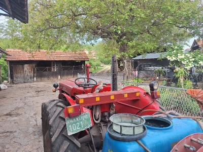 Bolesti i štetočine višnje