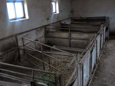 Porodica Negovanovi