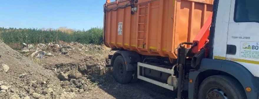 Uklanjanje svinja