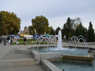 45. Međunarodni pčelarski sajam Tašmajdan 2019 - Beograd