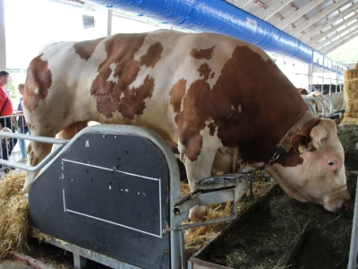 56. Agra u Gornjoj Radgoni otvorila vrata posetiocima