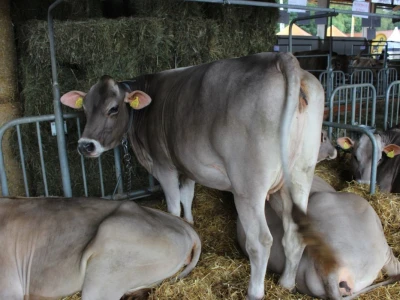 56. Agra u Gornjoj Radgoni otvorila vrata posetiocima