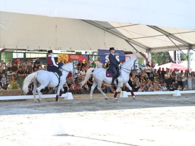 63. Sajam Agra u Gornjoj Radgoni