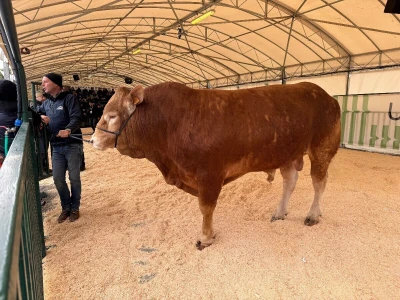 AgriUmbria 2026