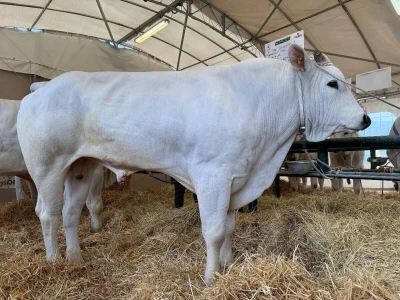 AgriUmbria 2026
