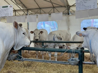 AgriUmbria 2026