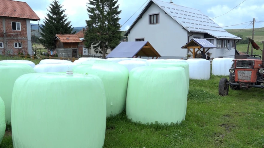 Balirka