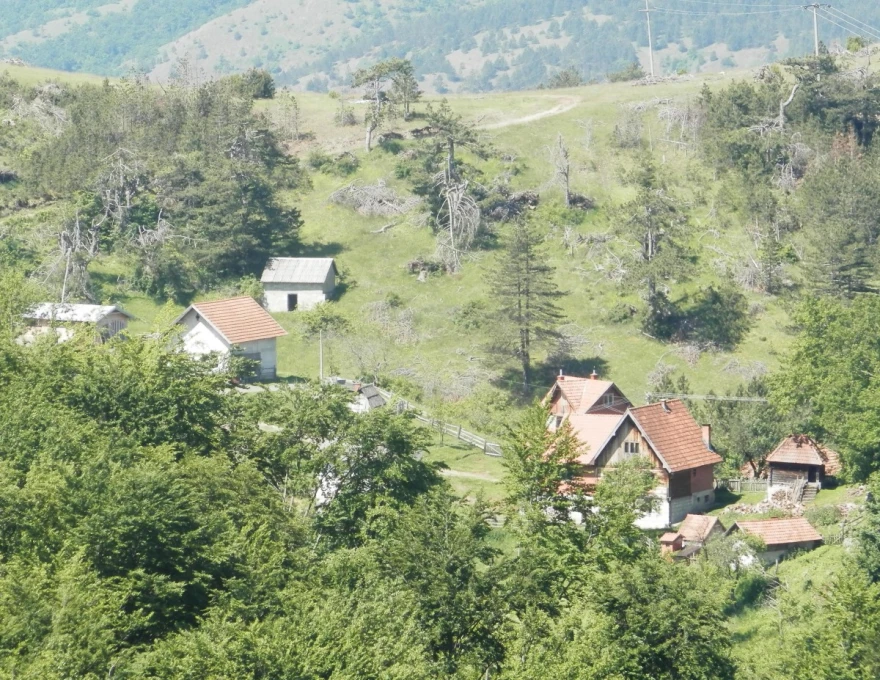 Zaseok