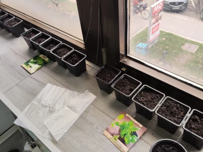 #AKProzorskaDaska