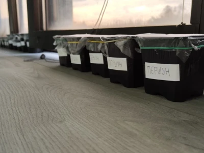 #AKProzorskaDaska