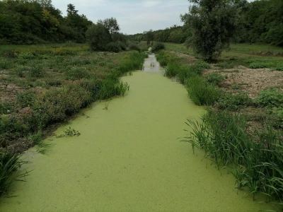 Akumulaciono jezero Ljukovo, Jarkovci