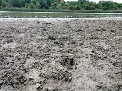 Akumulaciono jezero Ljukovo, Jarkovci
