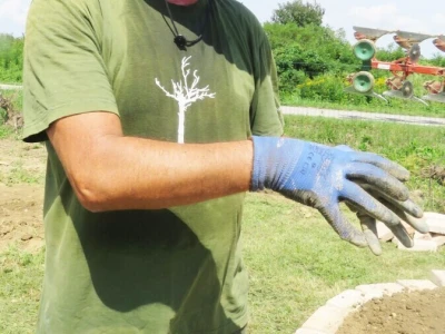 Aromatični spiralni vrtovi