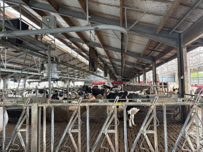 Automatizirana mliječna farma koja proizvodi vlastitu energiju