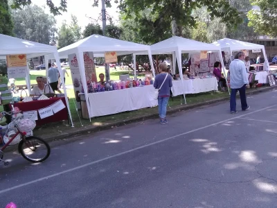 Bačka Palanka: Etno šor okupio više od 50 izlagača