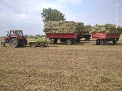 Baliranje lucerke