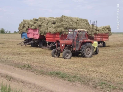 Baliranje lucerke