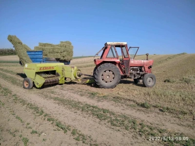 Baliranje lucerke