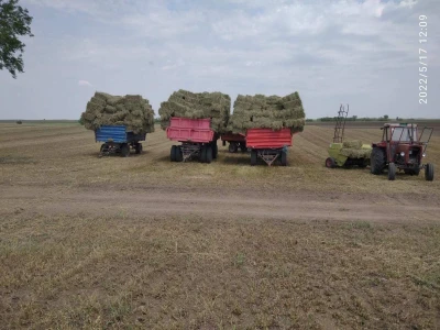 Baliranje lucerke
