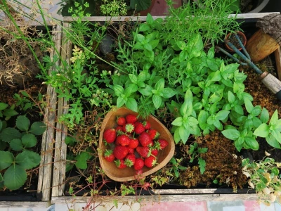 Balkon kao inspiracija