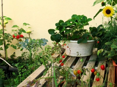 Balkon kao inspiracija