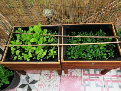 Balkon kao inspiracija