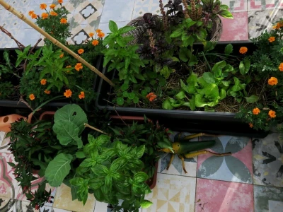 Balkon kao inspiracija