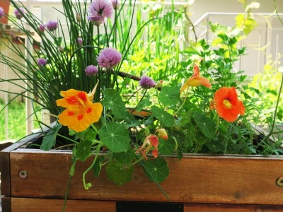 Balkon kao inspiracija