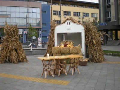 Seoski turizam na području Grada Zrenjanina