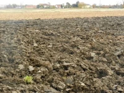 Banatske njive u novembru