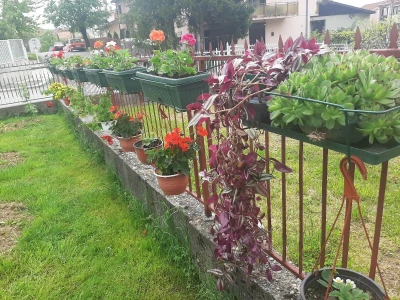 Baštensko i cveće za terase