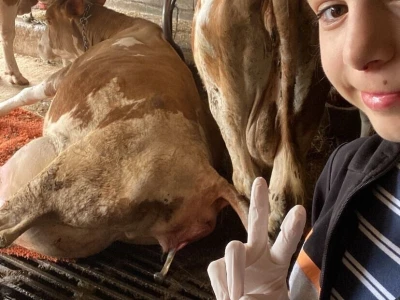 Belkisa Porčić na farmi u Krivaji kod Cazina