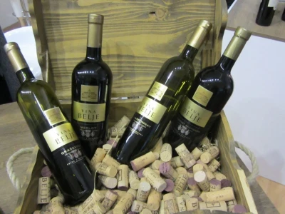 BeoWine 2018