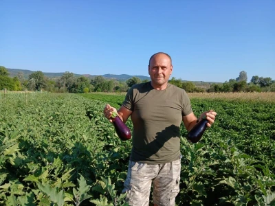 Berba