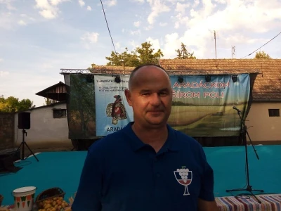 Berba grožđa u Aracu