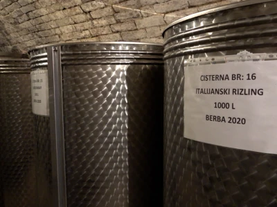Berba grožđa u vinariji Kosović