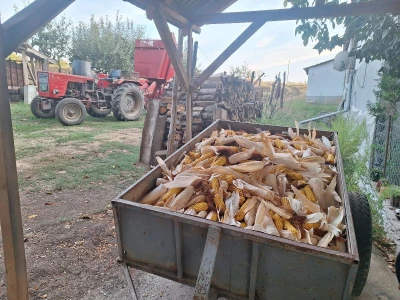 Berba kukuruza