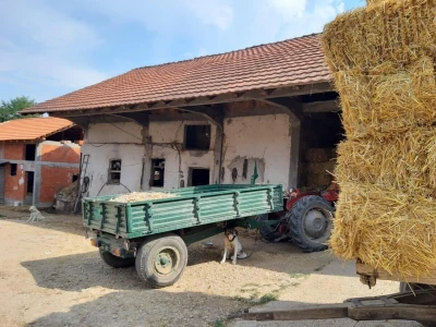 Berićet
